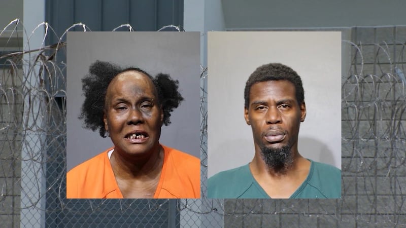 Keisha Epps, 51, (left) and Tamra Stewart, 37, are facing multiple felony charges relating to...