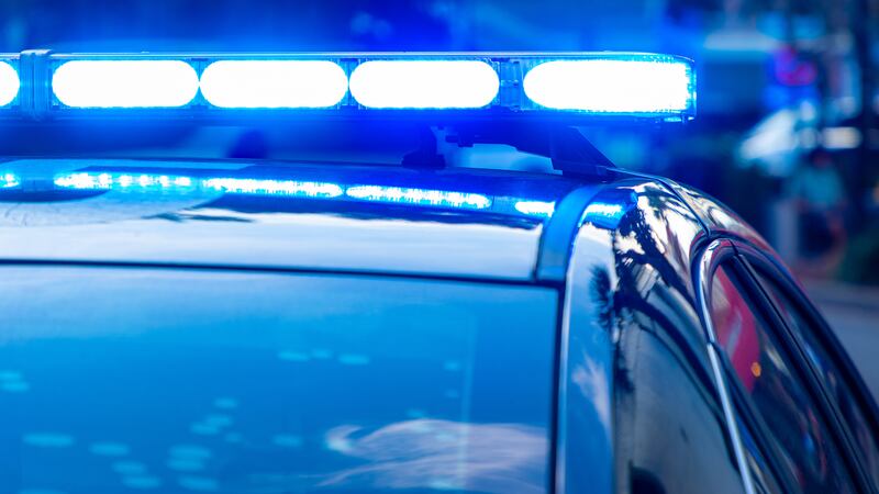FILE - Police lights.