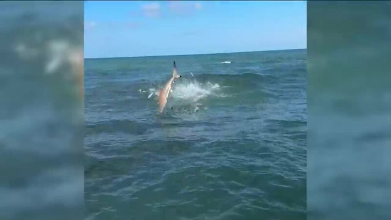 Top 5 con Miguel Ángel Antoñanzas | 15 de abril de 2026