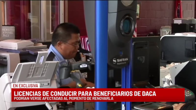 El estado responde a Telemundo Tennessee sobre las licencias para beneficiarios de DACA